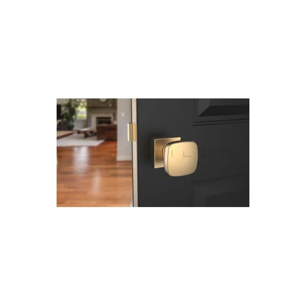 Bouton de porte Or mat KIAMA carré