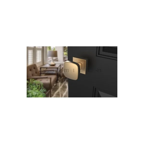 Bouton de porte Or mat KIAMA carré