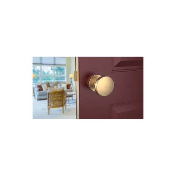Bouton de porte Or mat MESA Rond mobile