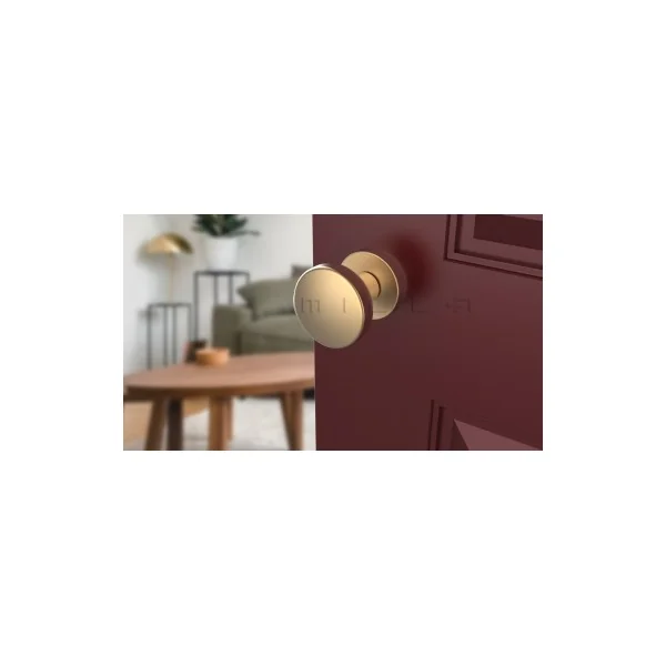 Bouton de porte Or mat MESA Rond mobile