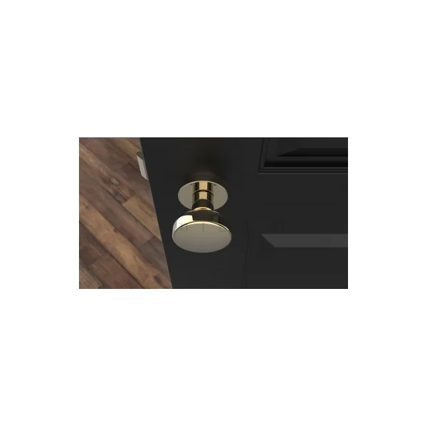 Bouton de porte Or MESA Rond mobile