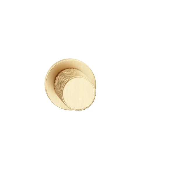 Bouton de porte texturée or mat Time