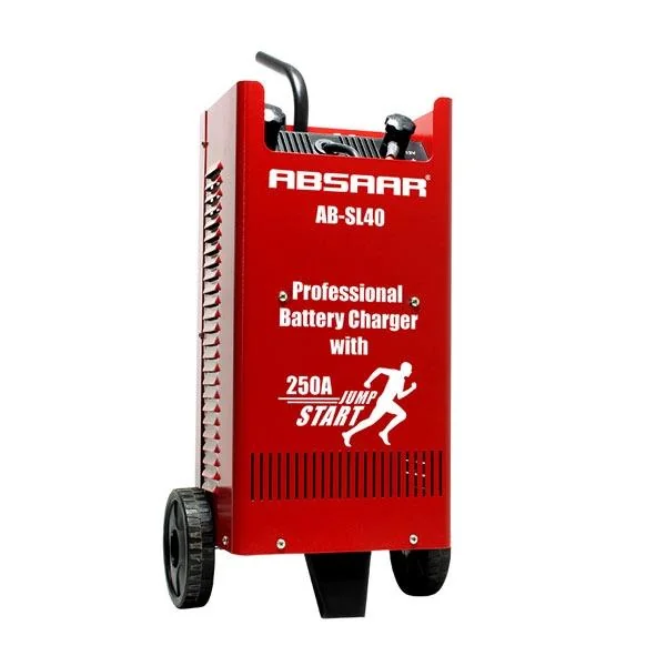 CHARGEUR BATTERIE PRO 40Amp 12/24V