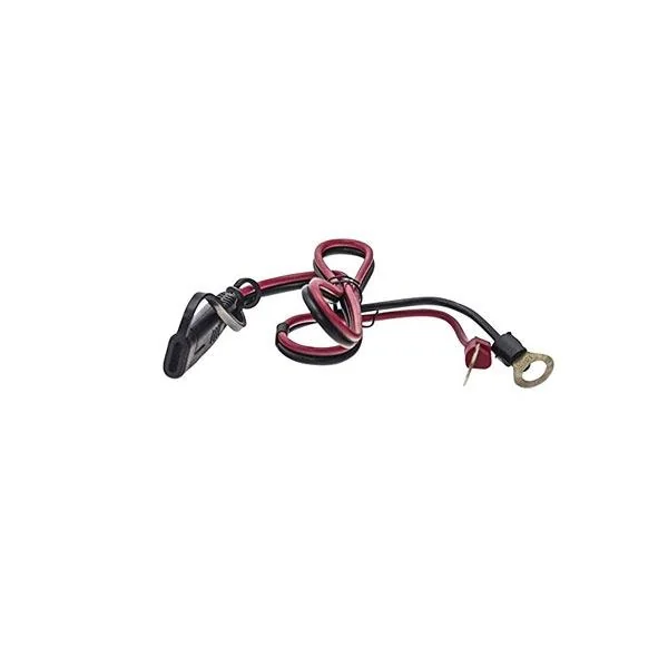 CHARGEUR INTELLIGENT 1Amp 6/12V