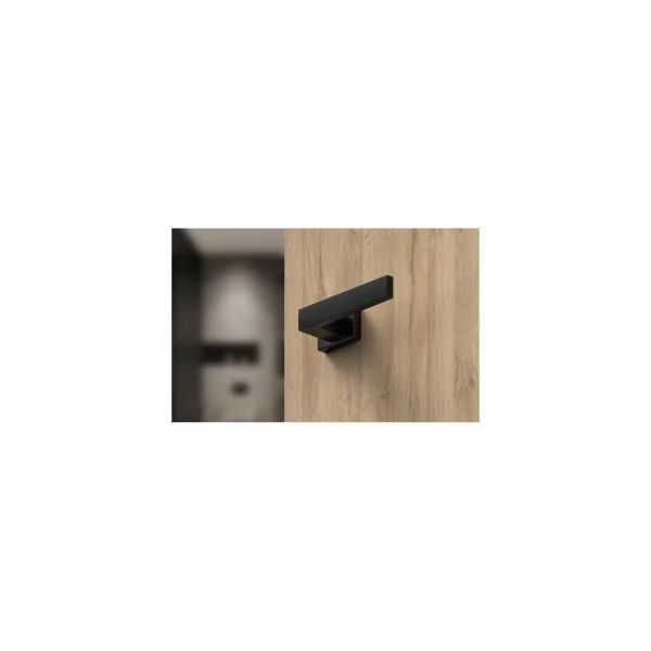 Poignées de porte sur plaque rectangulaire Focus